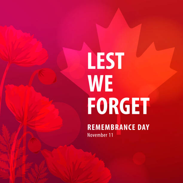 Remembrance Day: Cleaning and Organizing Your Memorabilia